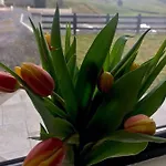 Casa vacanze Leghowney House Donegal Town