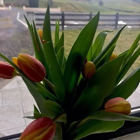 Semesterbostad Leghowney House Donegal Town