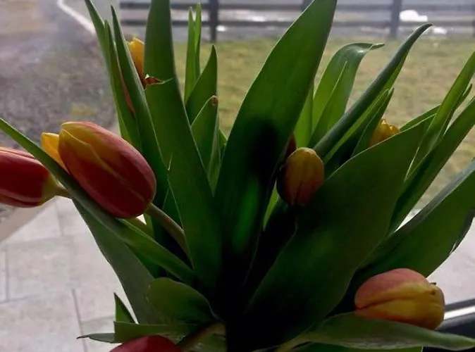 Casa vacanze Leghowney House Donegal Town